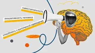 Как работает мозг, когда ты за рулем самоката