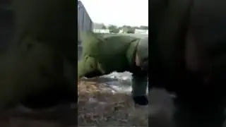 An average soldier from Soviet Union doing push-ups #shorts