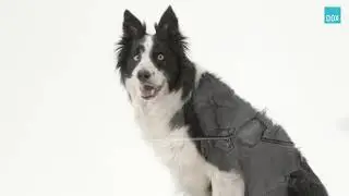 DOX Kort 4 - Sidenband