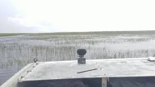 Everglades Florida Airboat Ride Part1