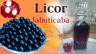 COMO FAZER UM DELICIOSO LICOR DE JABUTICABA EM 12 DIAS | RICARDO ALBUQUERQUE