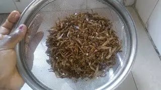 How I prepare my omena for preservation for future use 