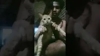 Cerita anak lombok, yg lagi viral