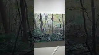 A tour around my brothers Art Show in Frenchtown, NJ.