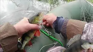 Щука (Рыбалка)