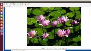 Explore Remote Desktop Connection from Ubuntu 12 to MS Windows