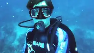 Pristine Diving | Pemba Island | Tanzania | Ep.5