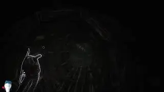 Scorn #2