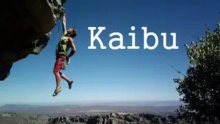 Kaibu - Killercats I NCS No copyright music