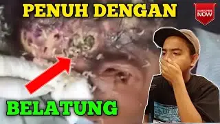 JANGAN DI NONTON!!! NANTI MERINDING || #MYREACT