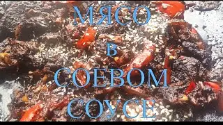КИТАЙСКАЯ КУХНЯ ГОВЯДИНА В СОЕВОМ СОУСЕ НА САДЖЕ №145