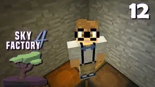 What Happened to the Community Server?! | SkyFactory 4 | 12