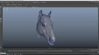 Universal Topology for Quadrupeds - Face