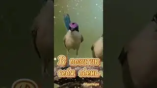 Доброе утро!!!☀️