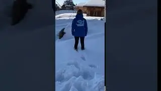 Snow Angels