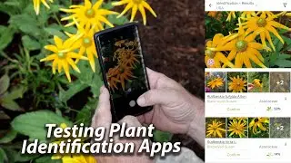 Testing Plant Identification Apps