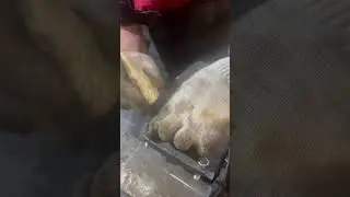 Вот как делается прокладка между КОМ и гидронасосом 