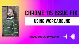 Fixing Selenium 4 Chrome 115 Issue: Workaround and Explanation using Lower Chrome Versions
