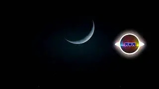 baegel - Don't You Cry