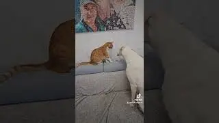 Вкусно?