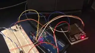 BobTalk Project - FluentPet Alternative