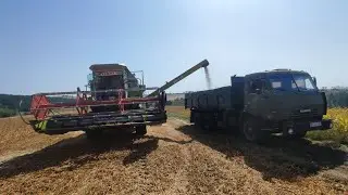 ЖНИВА СОЇ ПОЧАЛИСЯ А МАШИНА НАС ПІДВЕЛА