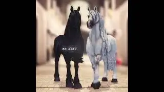 #ssoedit #horse #starstableonlinehorses #edit #horsegame #starstableonlineedit #starstablehorses