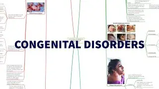 CONGENITAL DISORDERS OF RELEVANCE TO THE ANAESTHETIST