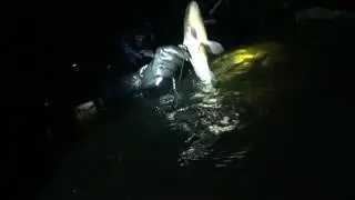 Подводная охота на реке и не понятные рыбки)