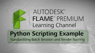 Python Scripting  - Batch Iteration and Render Naming - Flame 2016 EXT 2