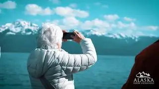 Whale Watching And Mendenhall Glacier Tour - Juneau, Alaska