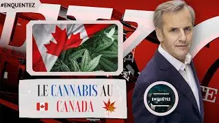 Enquête Exclusive 2021 || LE CANNABIS AU CANADA - ENQUÊTE EXCLUSiVE