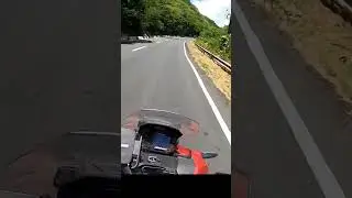 Road trippin in a summer sunshine