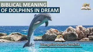 Biblical Meaning of DOLPHINS in Dreams - Dream About Dolphin Symbolism