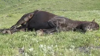 Забил на все