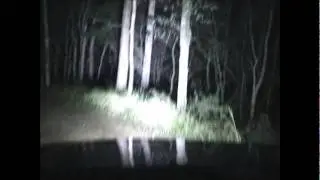 LED Light Bar from HALO Light Bars