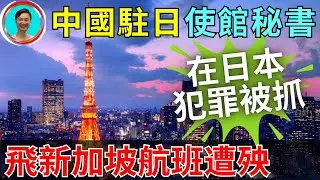 墻囯人在新加坡，日本犯案不斷！前駐日使館秘書犯案被抓，晚節不保！