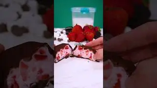 You HAVE to try these chocolate covered fruit yogurt bites! 