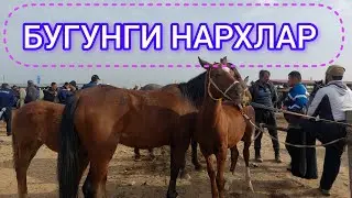 ОТ ТОЙ ТУЯ НАРХЛАРИ КАРШИ КАРВОН МОЛ БОЗОРИДА 10.11.2023