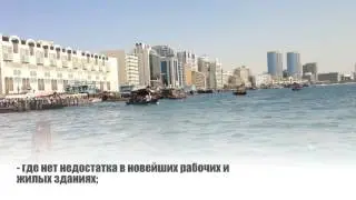 Создать бизнес в Дубае ОАЭ