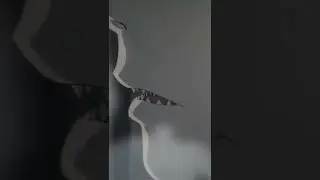 Человек бензопила секрет успеха манги