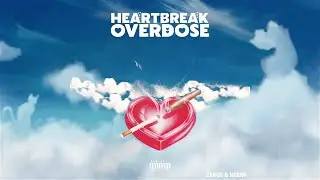 ZARKO & NERRR - Heartbreak Overdose ? ( Official Visualizer )