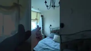 29 сентября 2024 г.