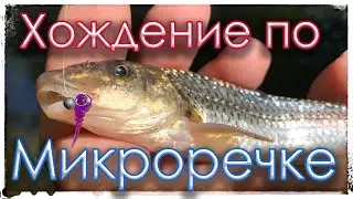 Хождение по Микроречке. Мормышинг. Black Adder Nano 0.3-0.8gr