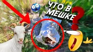 Дед и Внук гоняли на Мопеде и Обнаружили ЭТО...