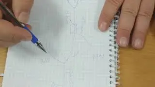 Крестцовое сплетение, длинные ветви