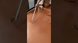 किशना  बगोत    के घर मे आ ग्या एक एक सांप