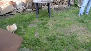 охотник