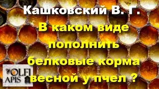#Kashkovsky