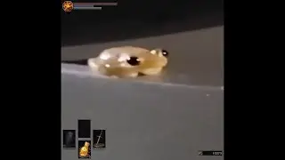 Look, what a cute little harmless npc we have here!